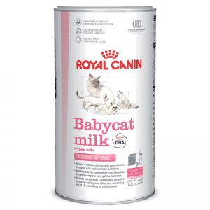 شیر خشک Babycat milk