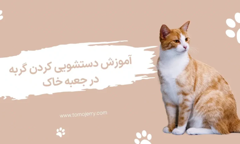 دستشویی کردن گربه