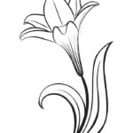 نمونه های عالی از نقاشی گل9