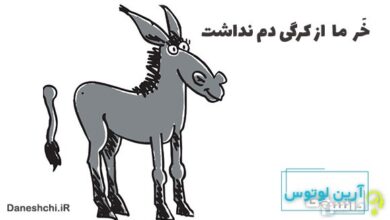 معنی خر ما از کرگی دم نداشت
