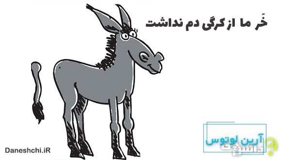 معنی خر ما از کرگی دم نداشت