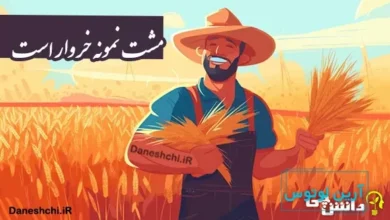 معنی ضرب المثل مشت نمونه خروار است