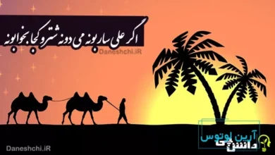 اگر علی ساربونه می دونه شترو کجا بخوابونه