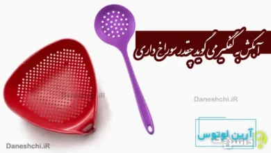 آبکش به کفگیر می گوید چقدر سوراخ داری
