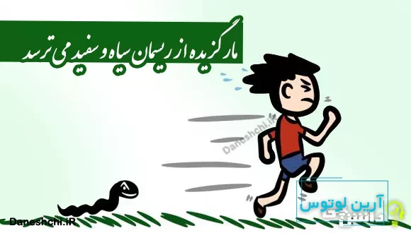 معانی ضرب المثل مار گزیده از ریسمان سیاه و سفید می‌ترسد