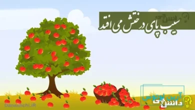 ضرب المثل سیب پای درختش می افتد