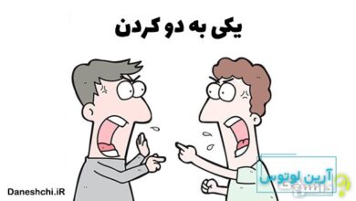 یکی به دو کردن
