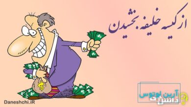 از کیسه خلیفه بخشیدن