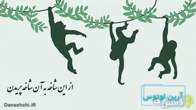 معنی از این شاخه به آن شاخه پریدن