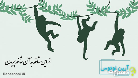 معنی از این شاخه به آن شاخه پریدن