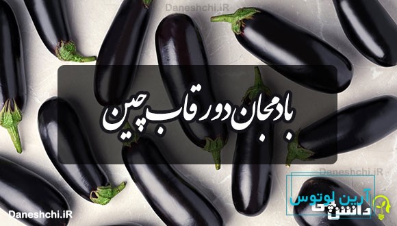 بادمجان دور قاب چین