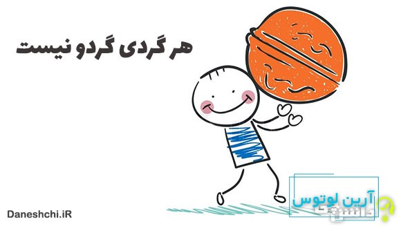 معنی هر گردی گردو نیست