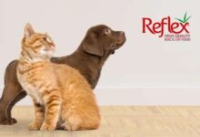 غذای سگ و گربه رفلکس
