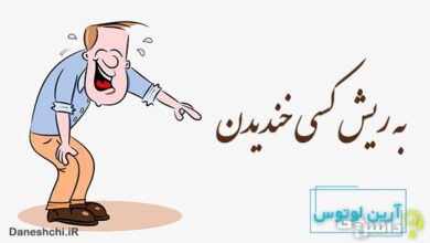 به ریش کسی خندیدن