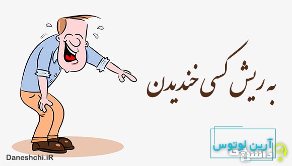 به ریش کسی خندیدن 