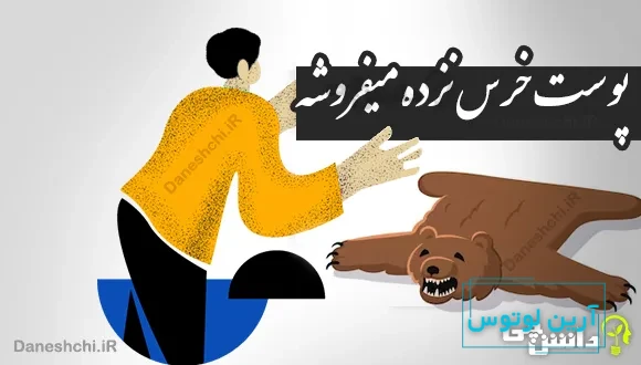 پوست خرس نزده میفروشه 