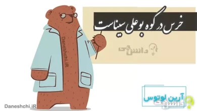 خرس در کوه بوعلی سیناست