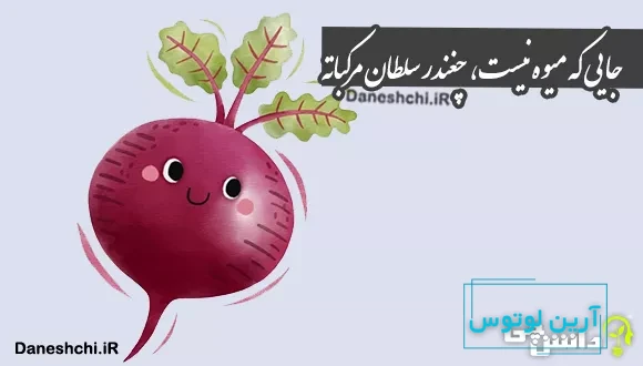 ضرب المثل جایی که میوه نیست، چغندر سلطان مرکباته