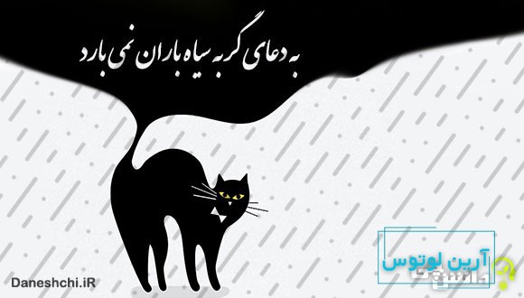 معنی ضرب المثل ” به دعای گربه سیاه باران نمی‌آید “