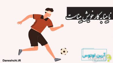 نابینا به کار خویش بیناست