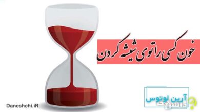 ضرب المثل خون کسی را توی شیشه کردن