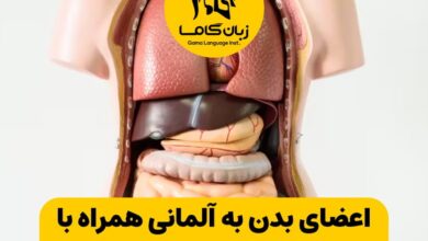 اعضای بدن به آلمانی