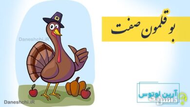 بوقلمون صفت