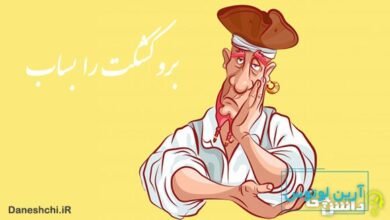 معنی برو کشکت را بساب