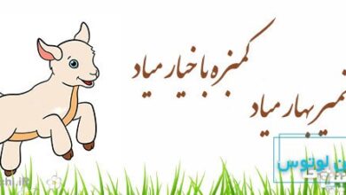 بزک نمیر بهار میاد کمبزه با خیار میاد