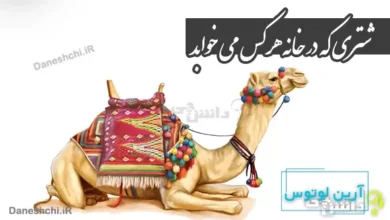 شتری که در خانه هرکس می خوابد