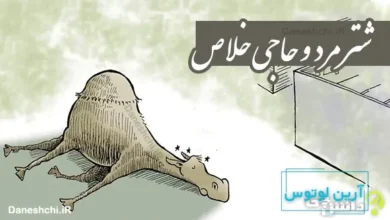 شتر مرد و حاجی خلاص