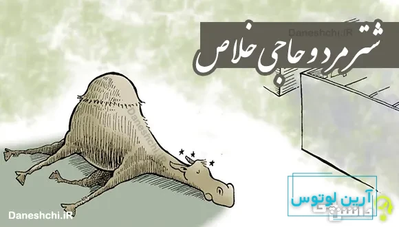 شتر مرد و حاجی خلاص 