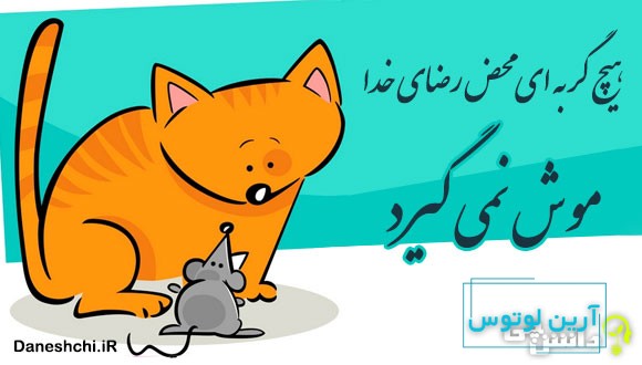 هیچ گربه ای محض رضای خدا موش نمی گیرد
