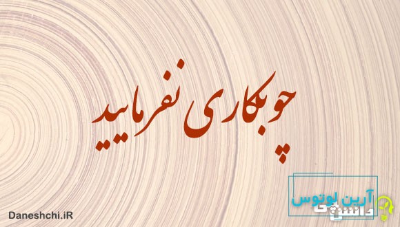 معنی ضرب المثل چوبکاری نفرمایید