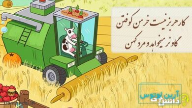 کار هر بز نیست خرمن کوفتن - گاو نر میخواهد و مرد کهن