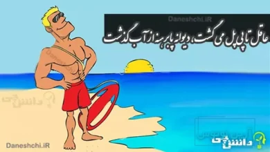 ضرب المثل عاقل تا پی پل می گشت