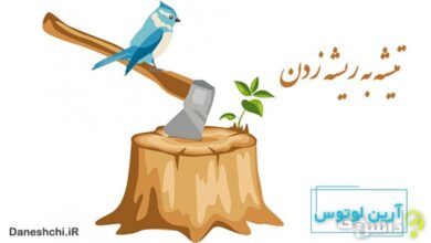 معنی تیشه به ریشه زدن