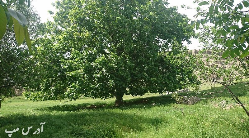 عکس روستا خانعلی دره سی اردبیل