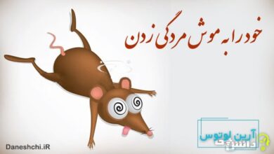 خود را به موش مردگی زدن
