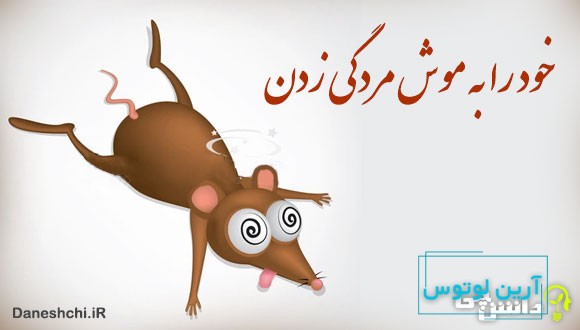 خود را به موش مردگی زدن