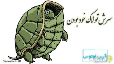 سرش تو لاک خود بودن