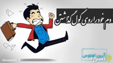 دم خود را روی کول گذاشتن