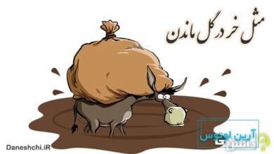مثل خر در گل ماندن