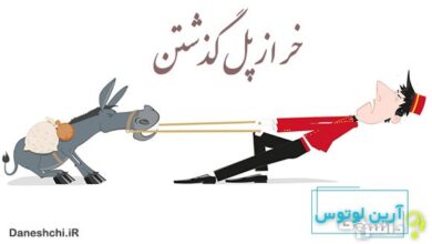 معنی خر از پل گذشتن