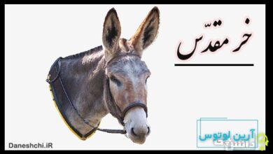 ضرب المثل خر مقدس بودن