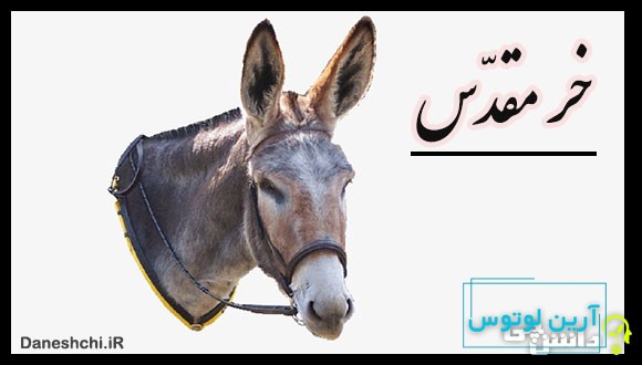 ضرب المثل خر مقدس بودن