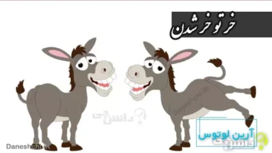 ضرب المثل خر تو خر شدن