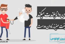 دشمن دانا بلندت میکند برزمینت میزند نادان دوست