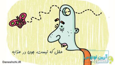 معنی عقل که نیست جون در عذابه