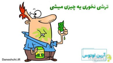 معنی ترشی نخوری یه چیزی میشی